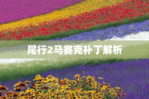 尾行2马赛克补丁解析图片