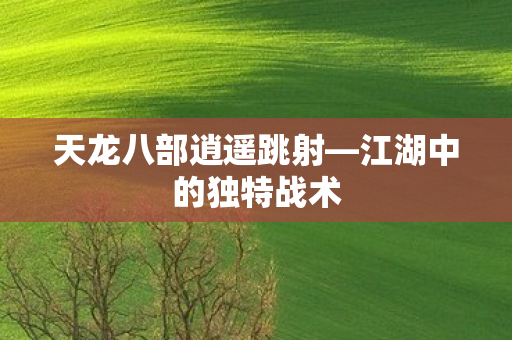 天龙八部逍遥跳射图片