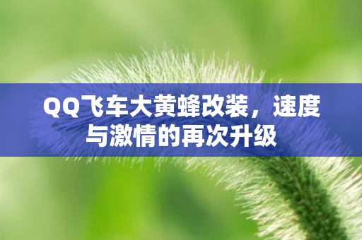 速度与激情的再次升级图片