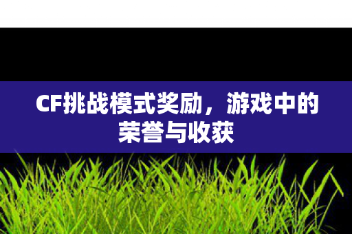 游戏中的荣誉与收获图片