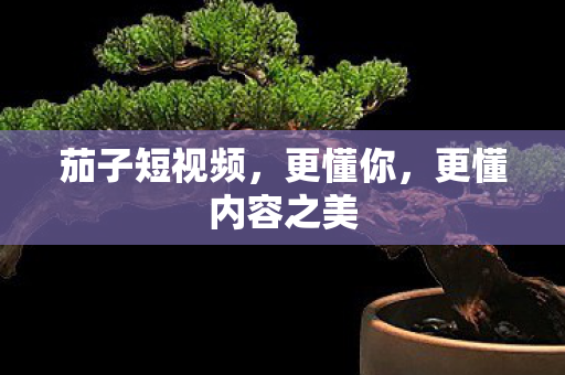 更懂内容之美图片