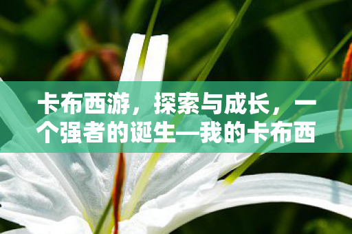 我的卡布西游100级之旅图片