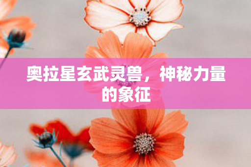 奥拉星玄武灵兽图片