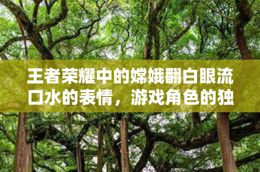 王者荣耀中的嫦娥翻白眼流口水的表情图片