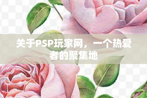 一个热爱者的聚集地图片