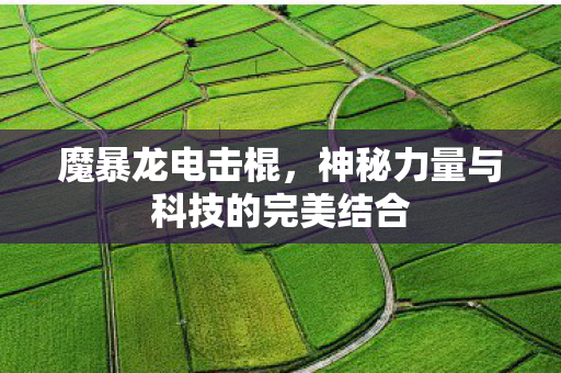 神秘力量与科技的完美结合图片