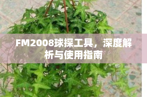 FM2008球探工具图片