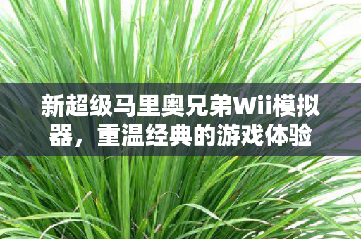 新超级马里奥兄弟Wii模拟器图片