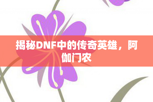 揭秘DNF中的传奇英雄图片