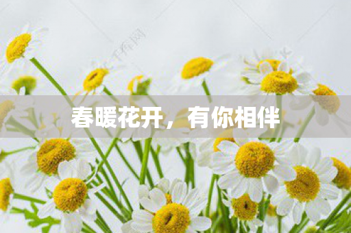 春暖花开图片