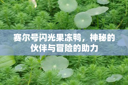 神秘的伙伴与冒险的助力图片