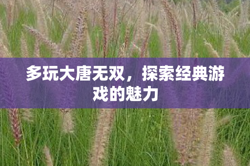 探索经典游戏的魅力图片