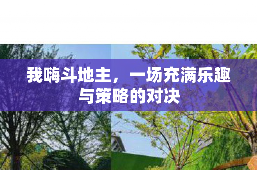 一场充满乐趣与策略的对决图片