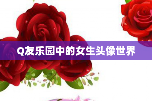Q友乐园中的女生头像世界图片