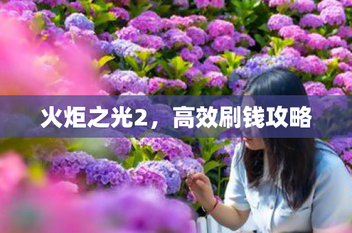 高效刷钱攻略图片