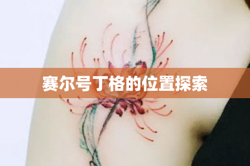 赛尔号丁格的位置探索图片