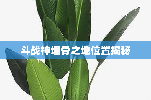 斗战神埋骨之地位置揭秘图片