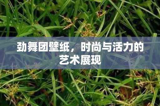 时尚与活力的艺术展现图片