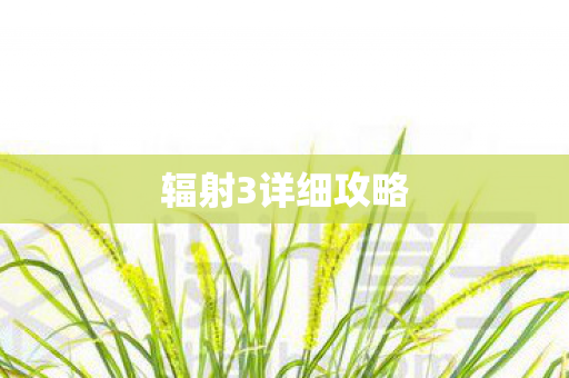 辐射3详细攻略图片