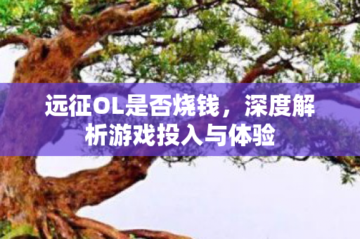 深度解析游戏投入与体验图片