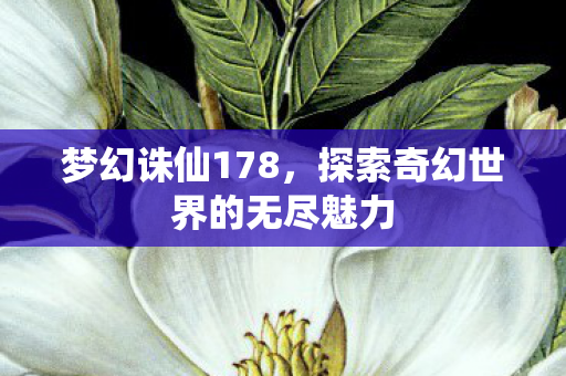 探索奇幻世界的无尽魅力图片