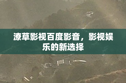 潦草影视百度影音图片