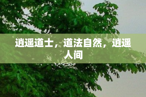 逍遥道士图片