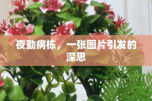 一张图片引发的深思图片