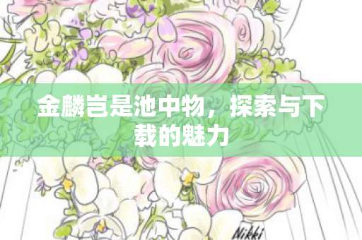 探索与下载的魅力图片