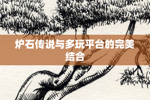 炉石传说与多玩平台的完美结合图片