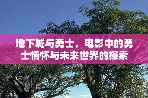 电影中的勇士情怀与未来世界的探索图片