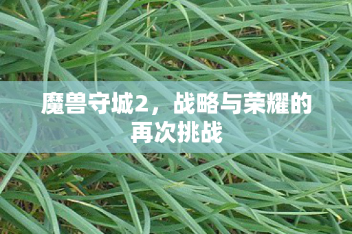 战略与荣耀的再次挑战图片