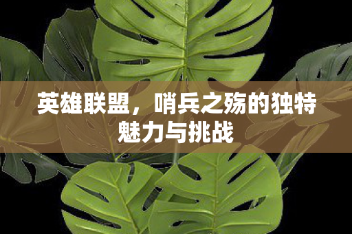 哨兵之殇的独特魅力与挑战图片