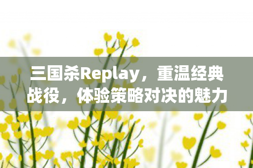 三国杀Replay图片