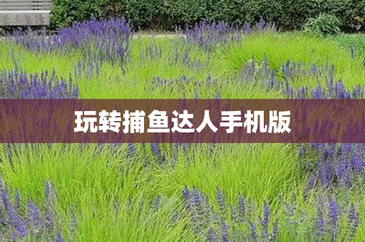 玩转捕鱼达人手机版图片
