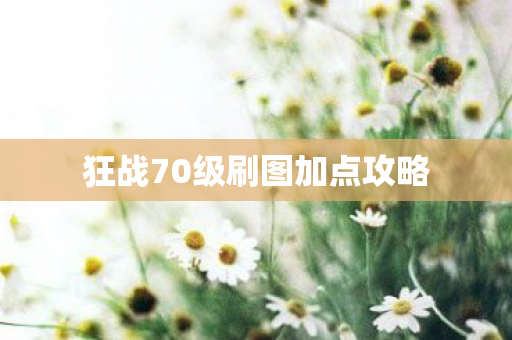 狂战70级刷图加点攻略图片