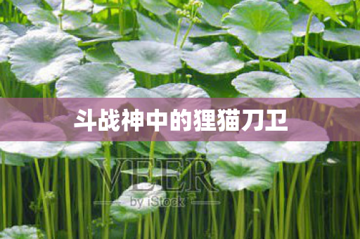 斗战神中的狸猫刀卫图片