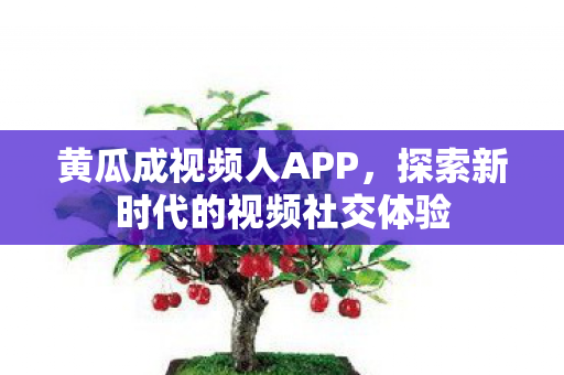 探索新时代的视频社交体验图片