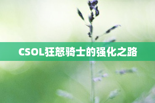 CSOL狂怒骑士的强化之路图片