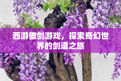 探索奇幻世界的剑道之旅图片