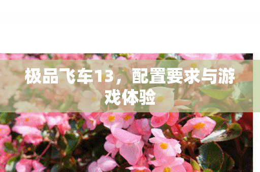配置要求与游戏体验图片