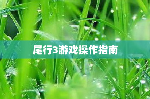 尾行3游戏操作指南图片