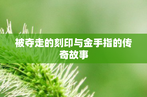 被夺走的刻印与金手指的传奇故事图片