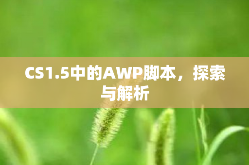 5中的AWP脚本图片