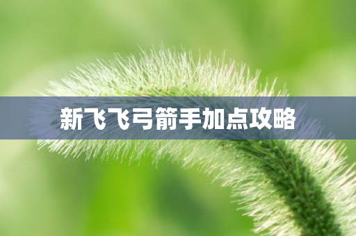 新飞飞弓箭手加点攻略图片