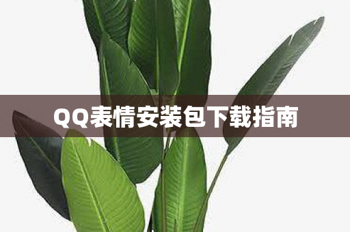 QQ表情安装包下载指南图片