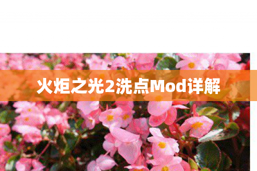 火炬之光2洗点Mod详解图片