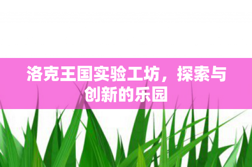 洛克王国实验工坊图片