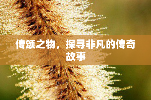 探寻非凡的传奇故事图片