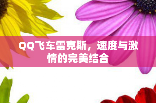 速度与激情的完美结合图片